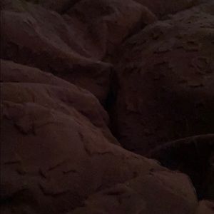 Meet your Posher, Venus